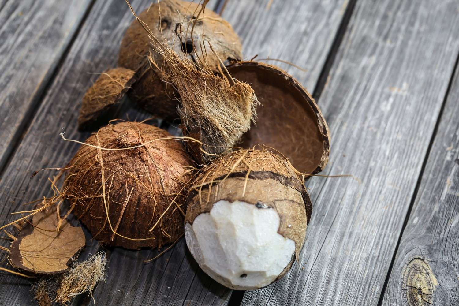 Manfaat Briket Arang Tempurung Kelapa, Apa Saja? Simak!